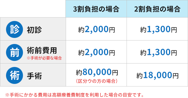 鼠径ヘルニア（脱腸）の手術費用の目安