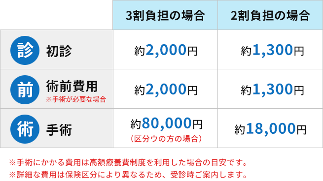 鼠径ヘルニア（脱腸）の手術費用の目安